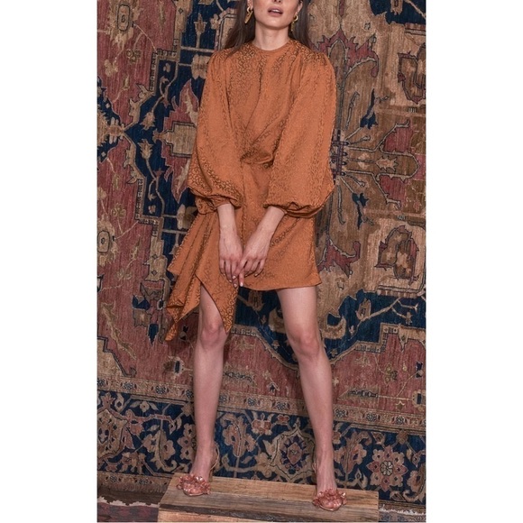 Johanna Ortiz Mini Long-Sleeve Brown Exotic Spices Satin-Jacquard Dress - Picture 1 of 5